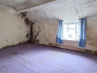 Picture 19